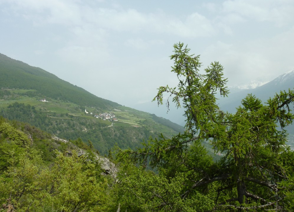 Tanas-St.Peter 2014 (5)