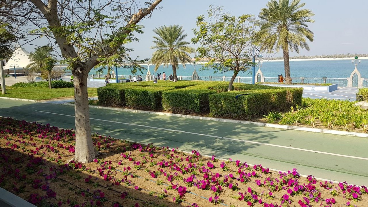 Abu Dhabi1_02