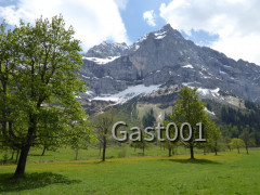 27 Großer Ahornboden
