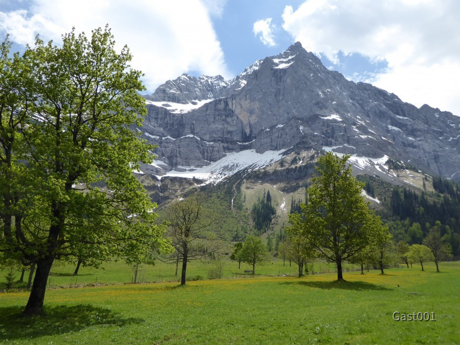 27 Großer Ahornboden