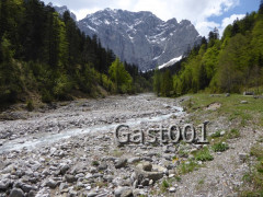 24 Großer Ahornboden
