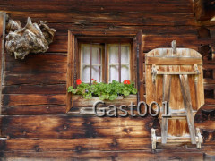 12 Großer Ahornboden