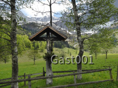 28 Großer Ahornboden