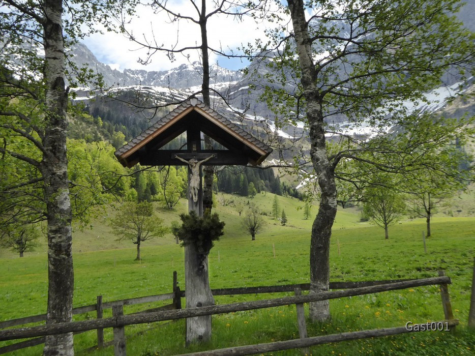 28 Großer Ahornboden