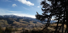 Weitblick