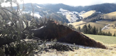 Sturmtief