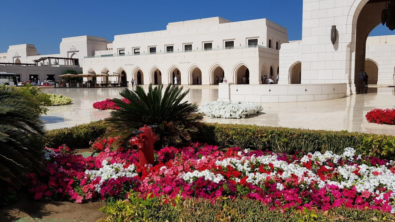 Muscat1_15