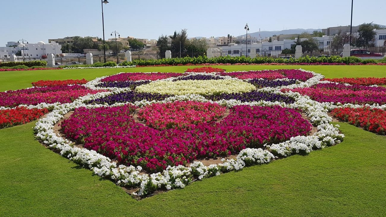 Muscat1_16