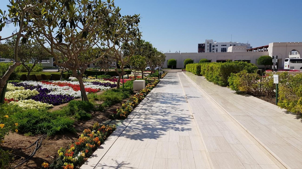 Muscat1_17