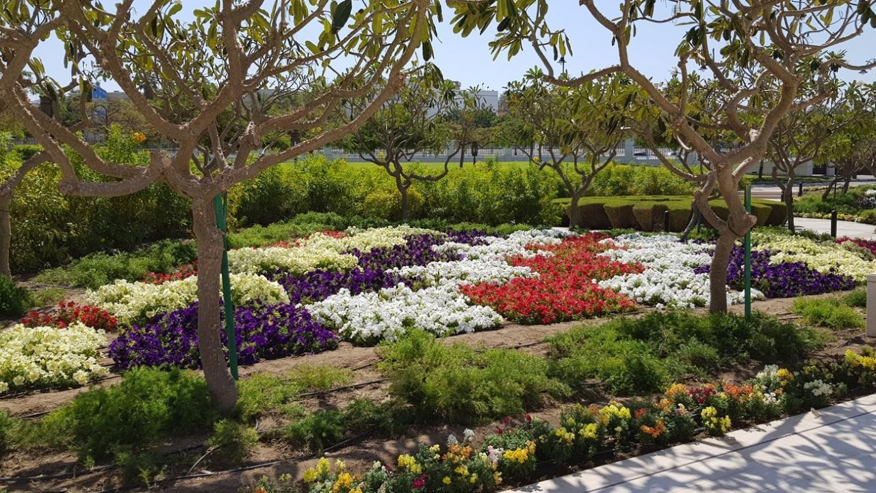 Muscat1_18