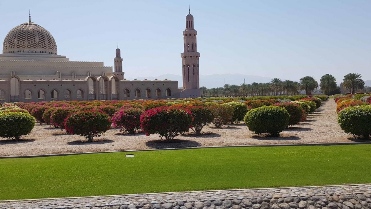 Muscat1_22