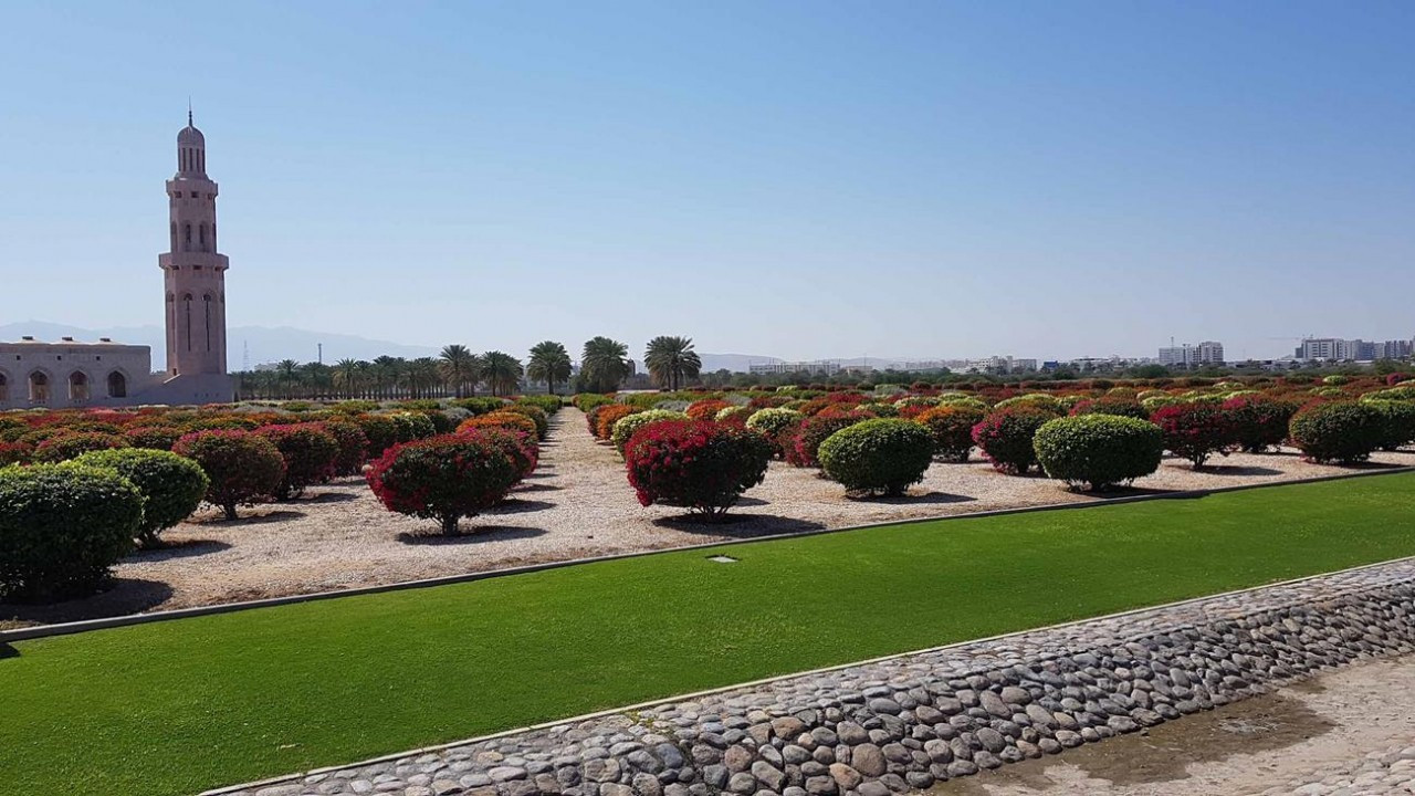 Muscat1_23