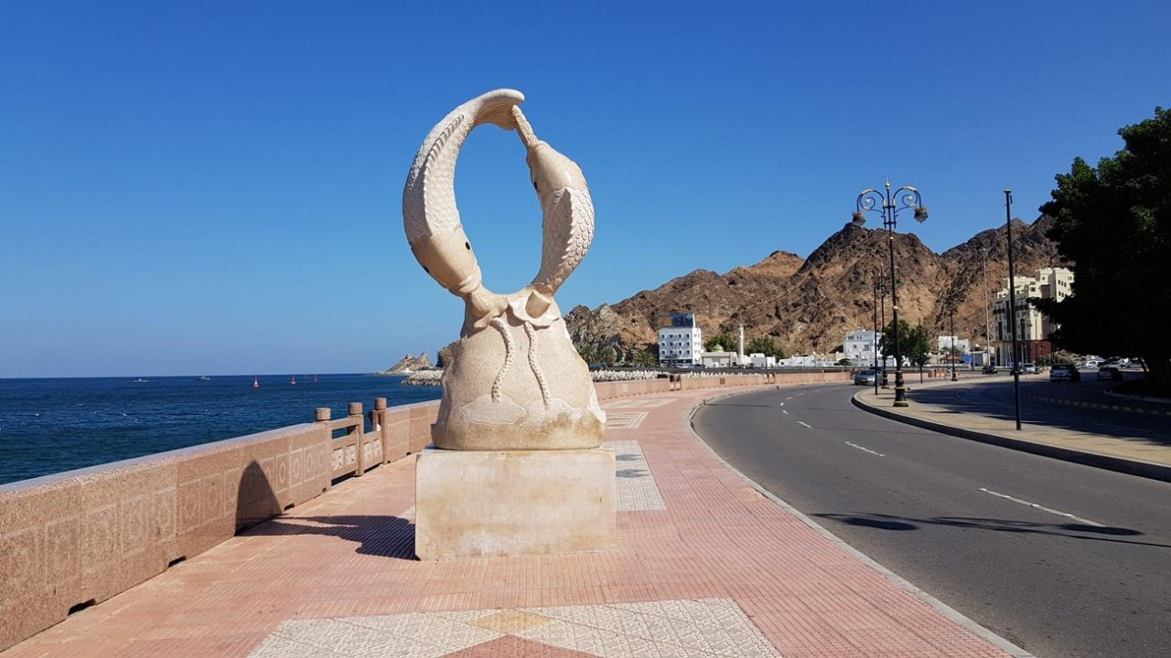 Muscat2_08
