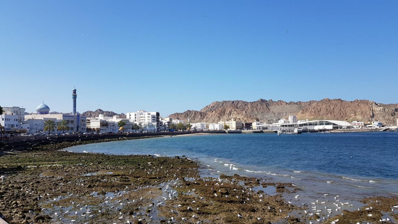 Muscat2_11
