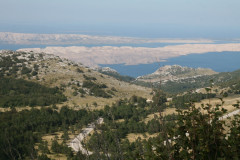 Velebit