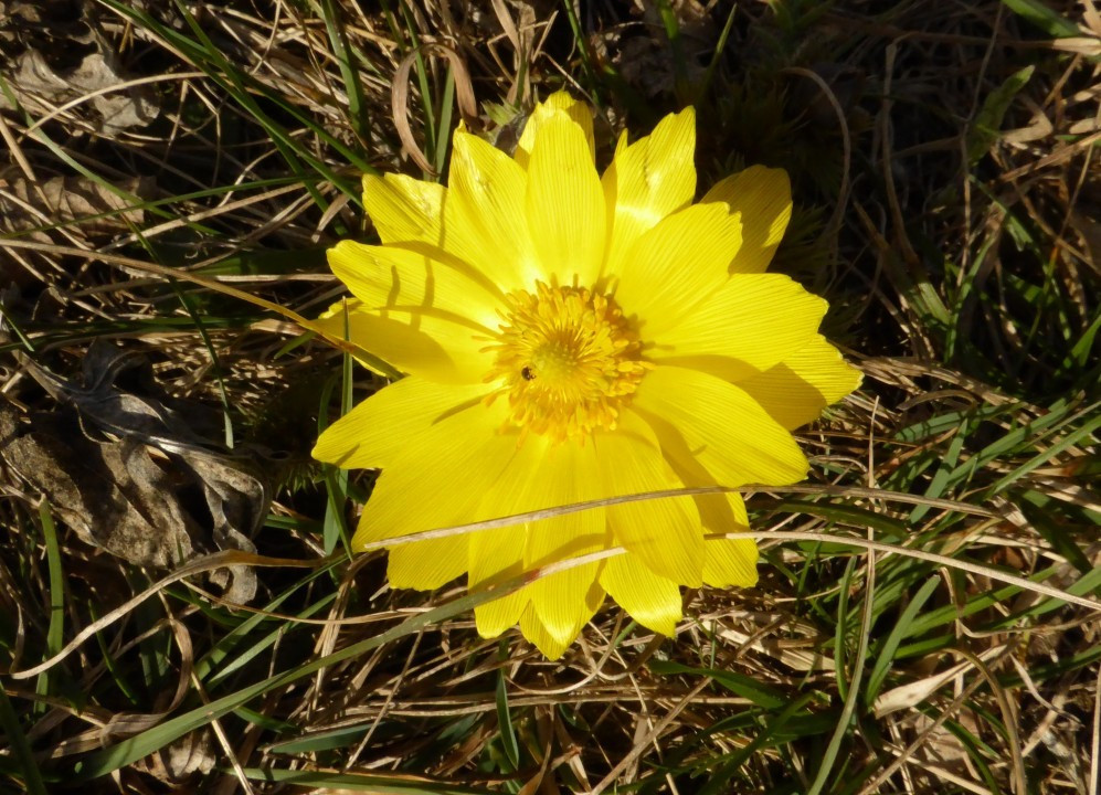 P1180980