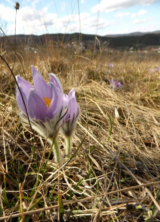 P1190001