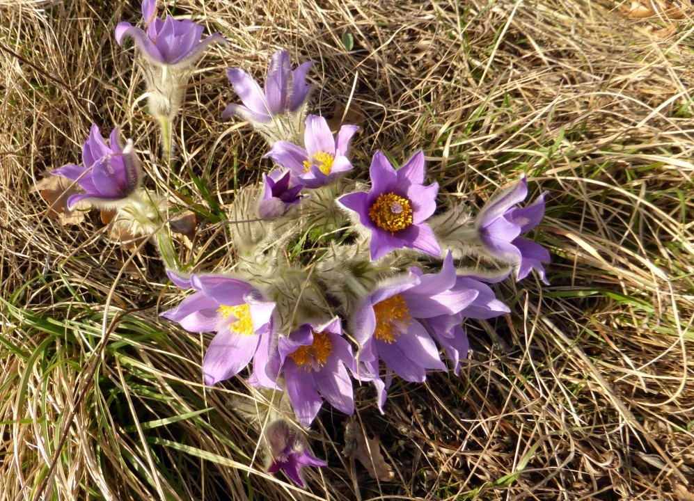 P1190005