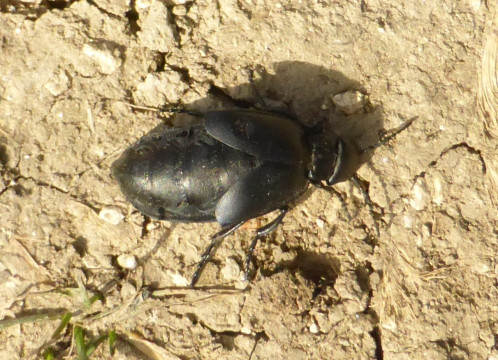 P1190031