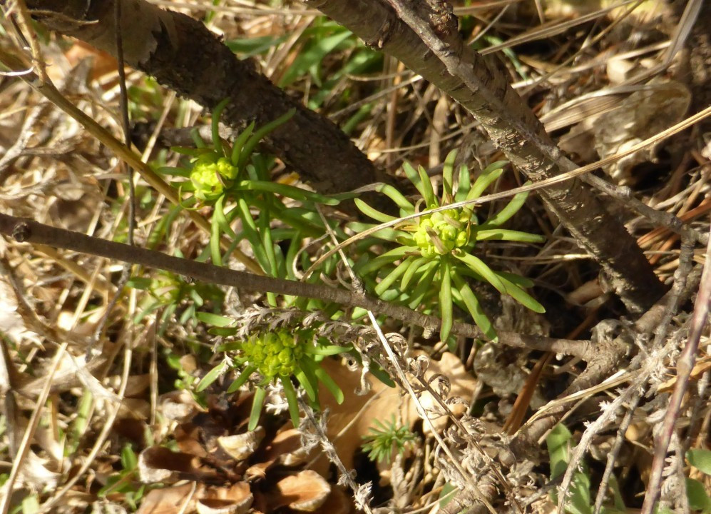 P1190032