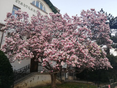 Spaziergang