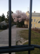 Spaziergang