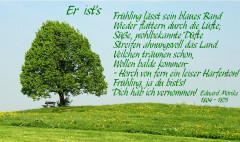 Er ist's Frühling