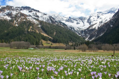 Vals