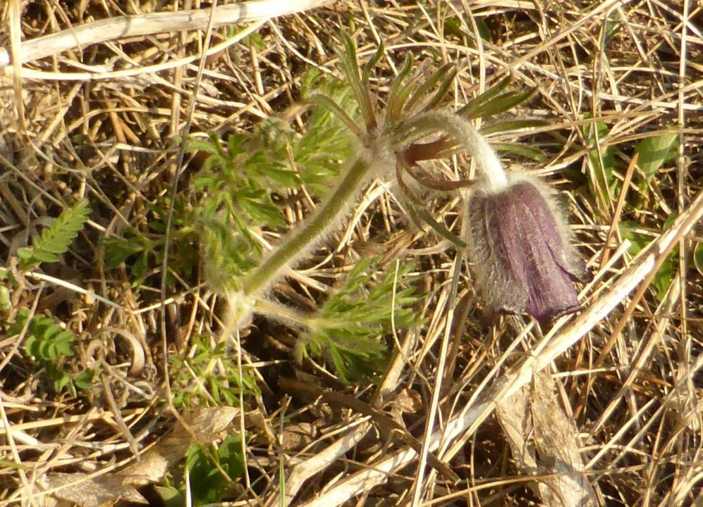 P1190150