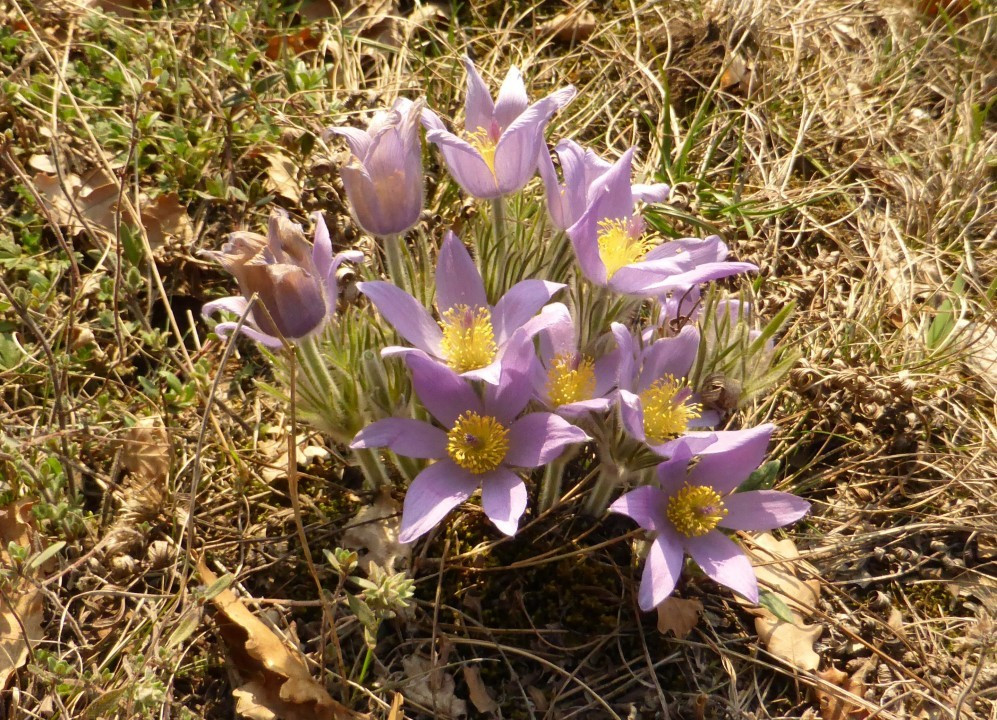 P1190156