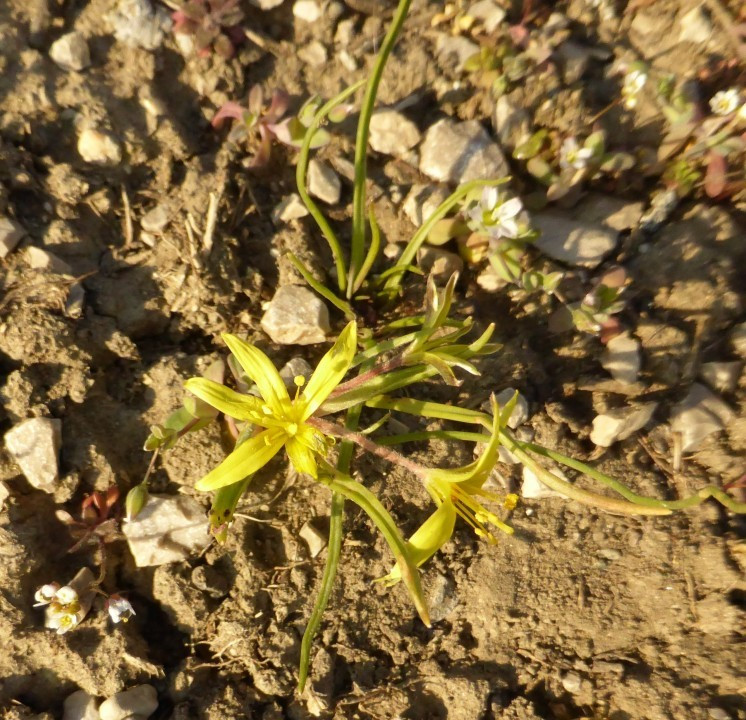 P1190226