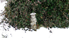 Stone Angel