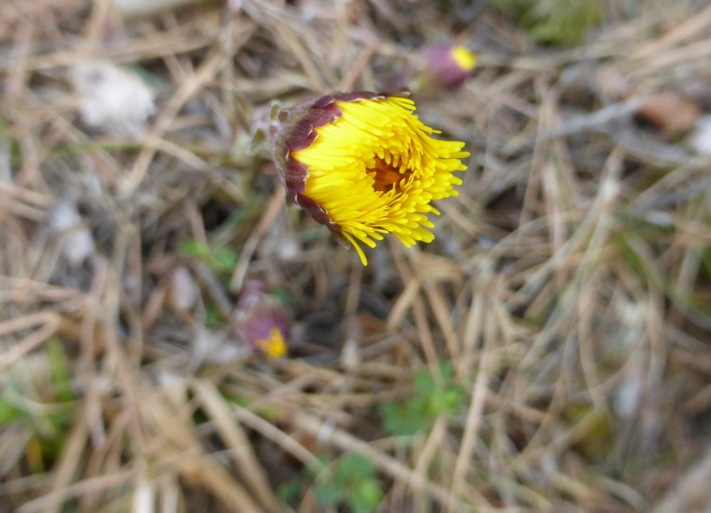P1190130