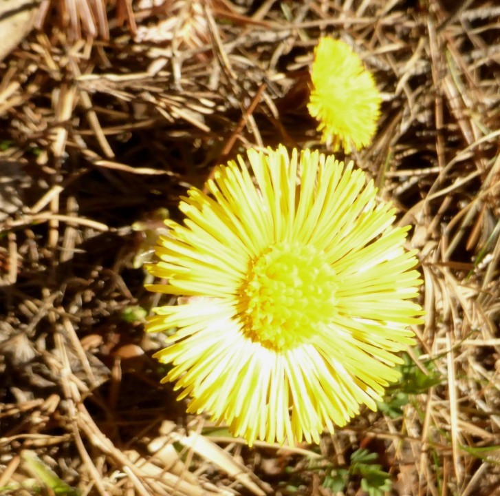 P1190122