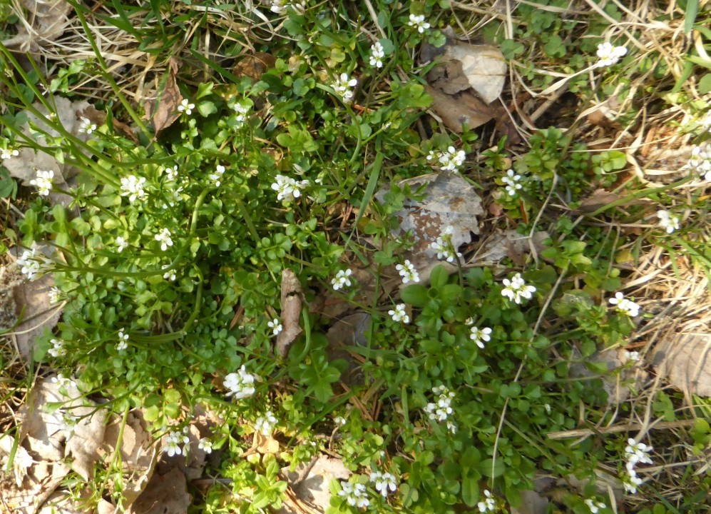P1190235