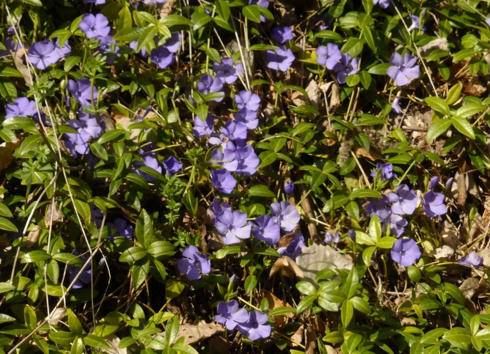 P1190295