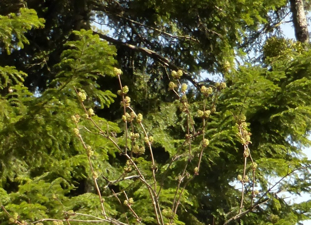 P1190300