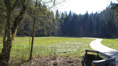 Weg zur Schnellrieder Kapelle (3)