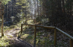 Weg zur Schnellrieder Kapelle (6)