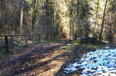 Weg zur Schnellrieder Kapelle (14)