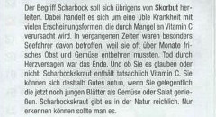 Scharbockskraut