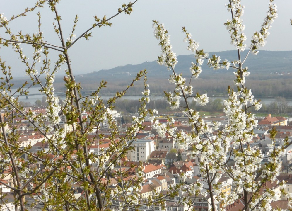 .P1060902