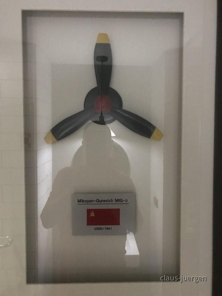 ?random=0&maxWidth=0&embedded=0&thumbnail=large