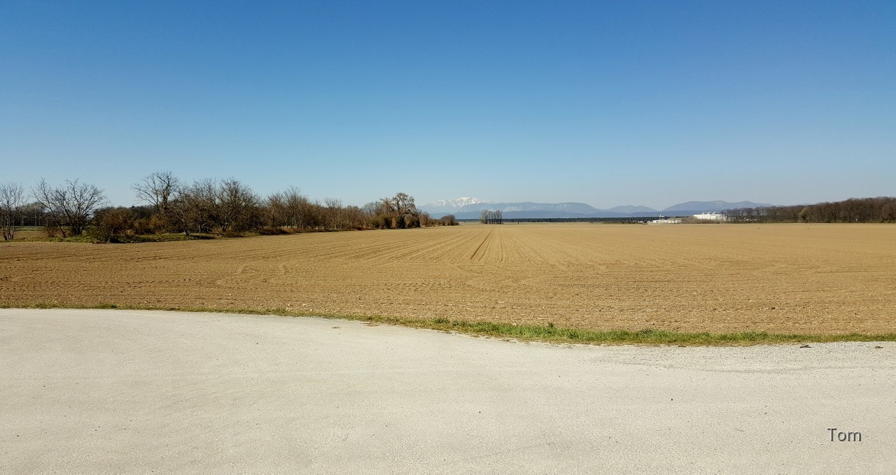 Heute früh