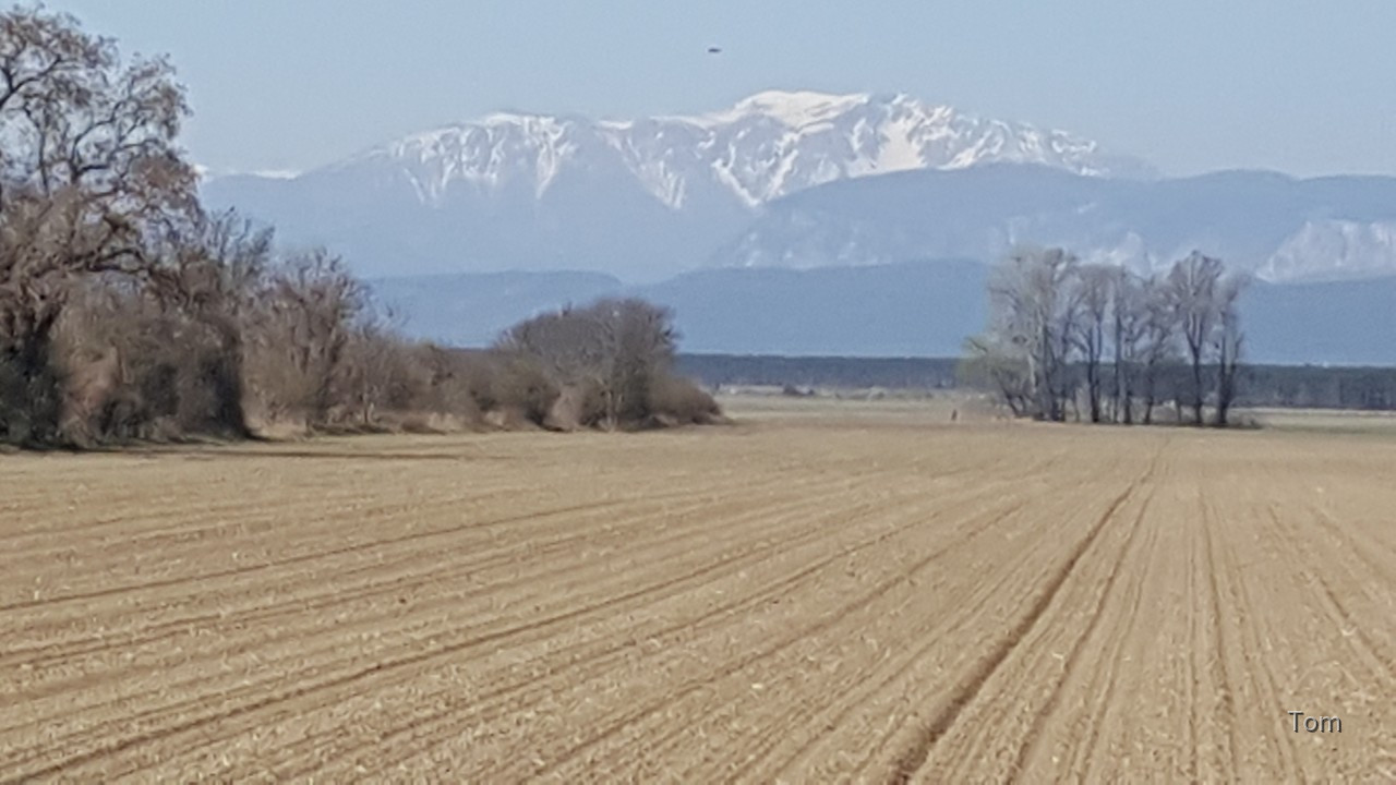 Heute früh