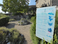 Kräutergarten  (1)