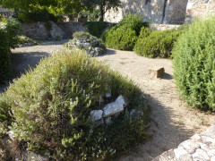 Kräutergarten  (2)
