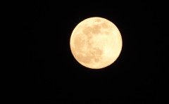 Vollmond 7.4.2020