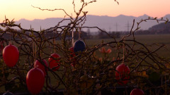 Vor Sonnenaufgang 8.4.20  6:30