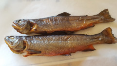 Fischzucht Eulenau (1)